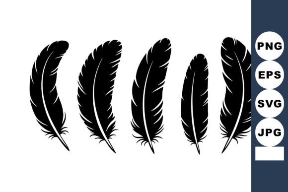 Black Feathers Vector with Detailed Sha: Graphics & Illustrations