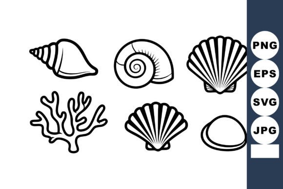 Seashell and Coral Vector Collection Wit: Graphics & Illustrations